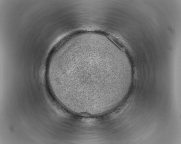 X0000112380440200909031956