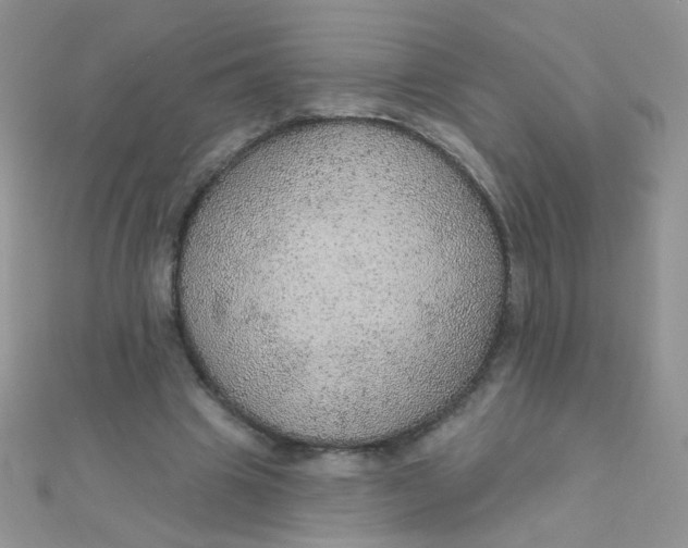 X0000112380441200909031956