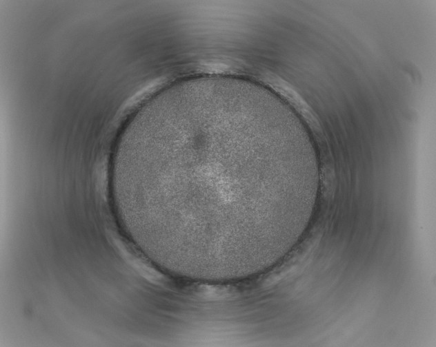 X0000112380442200909031956