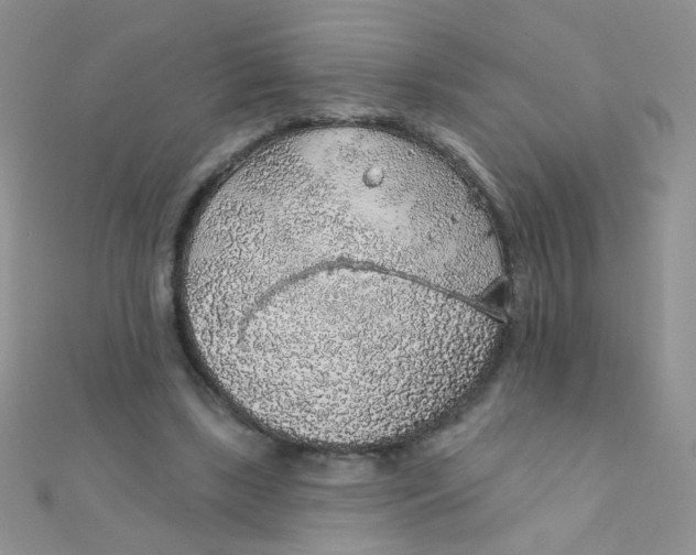 X0000112380443200909031956