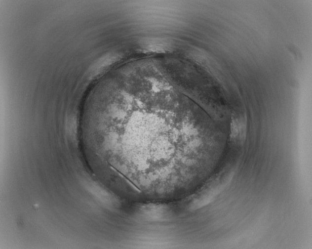 X0000112380444200909031956