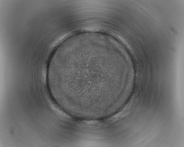 X0000112380446200909031956