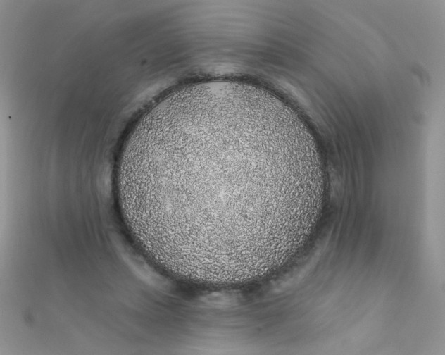 X0000112380447200909031956