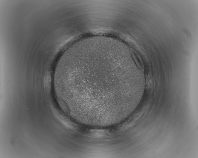 X0000112380448200909031956