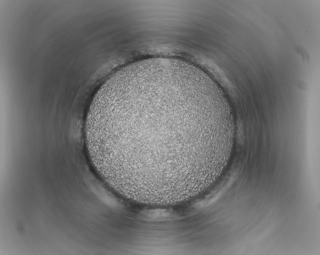 X0000112380449200909031956