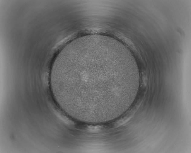 X0000112380450200909031956