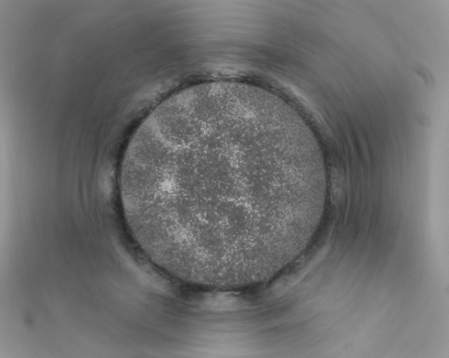 X0000112380451200909031956