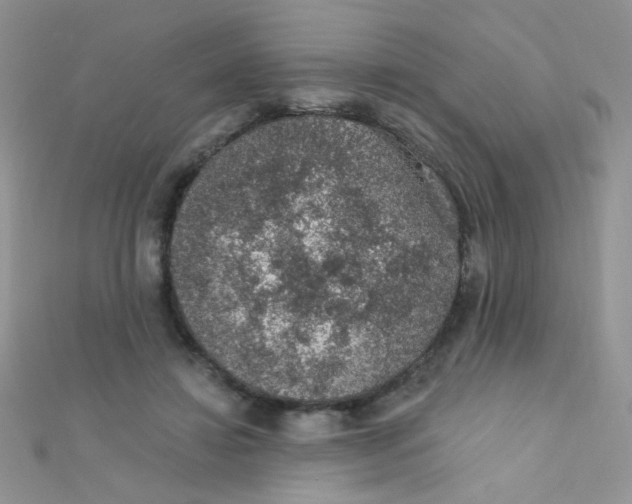 X0000112380452200909031956