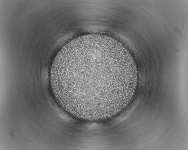 X0000112380453200909031956