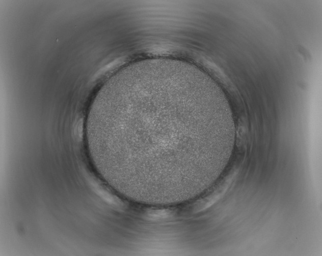 X0000112380454200909031956