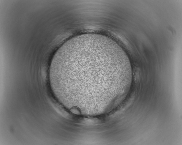 X0000112380455200909031956