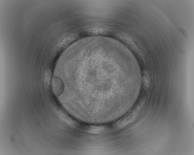 X0000112380458200909031956