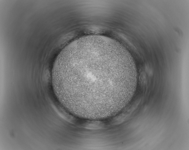 X0000112380459200909031956