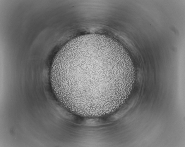 X0000112380461200909031956