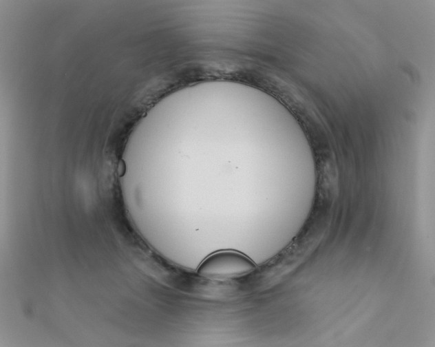 X0000112380463200909031956