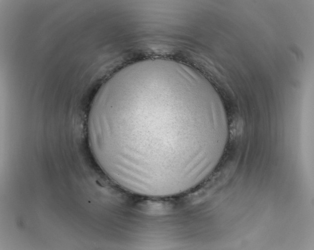 X0000112380464200909031956