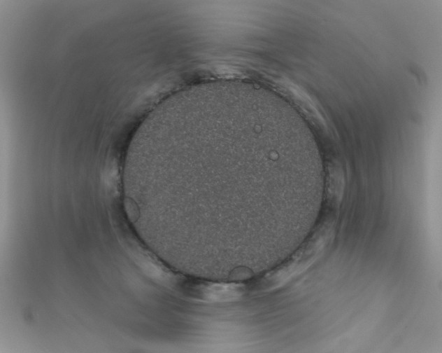 X0000112380465200909031956