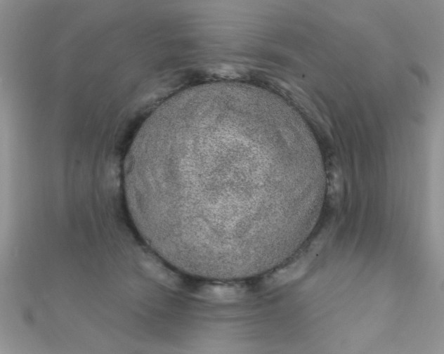 X0000112380466200909031956