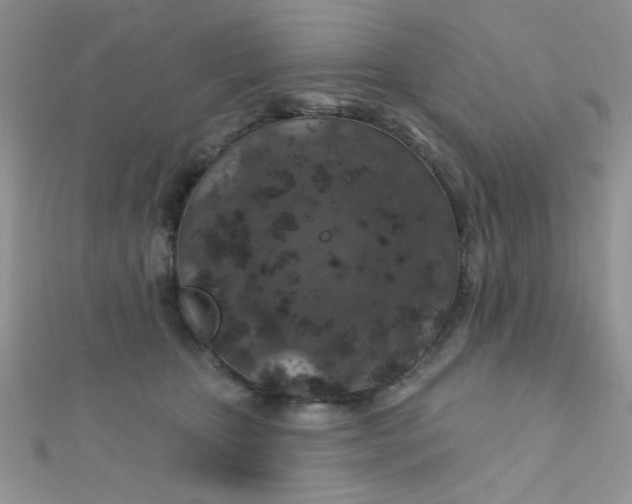 X0000112380467200909031956