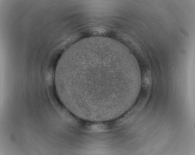 X0000112380468200909031956