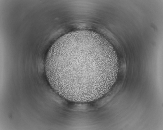 X0000112380469200909031956