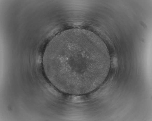 X0000112380472200909031956