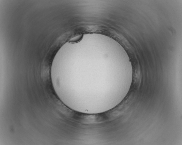 X0000112380473200909031956