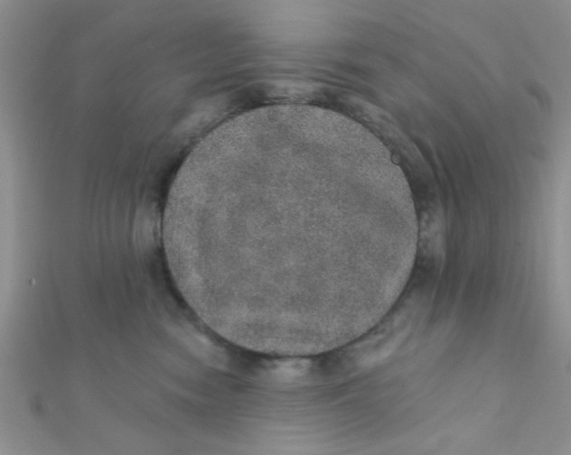 X0000112380474200909031956