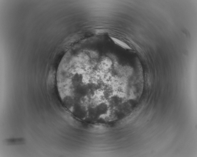 X0000112380475200909031956