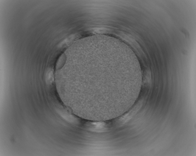 X0000112380478200909031956