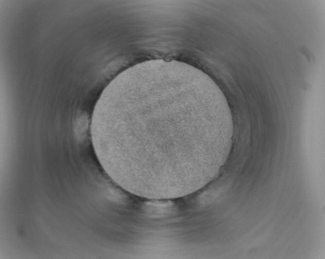 X0000112380480200909031956