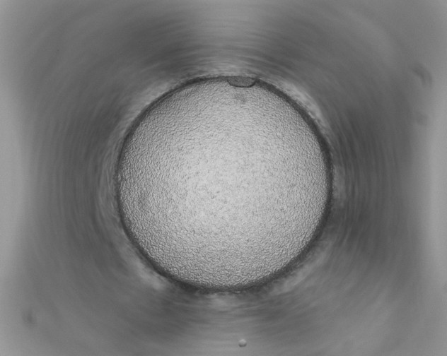 X0000112380481200909031955