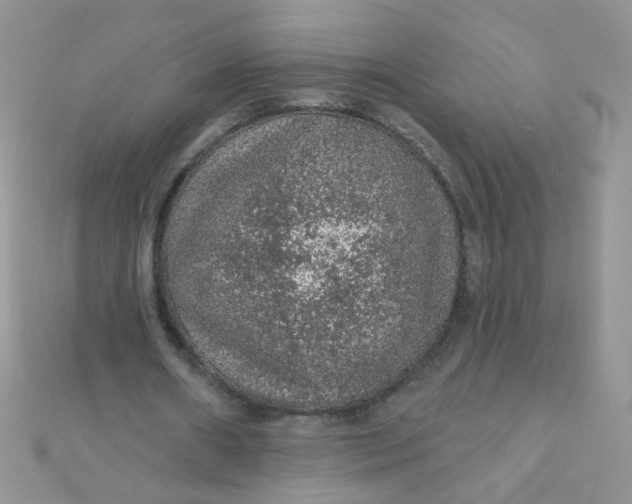 X0000112380482200909031955