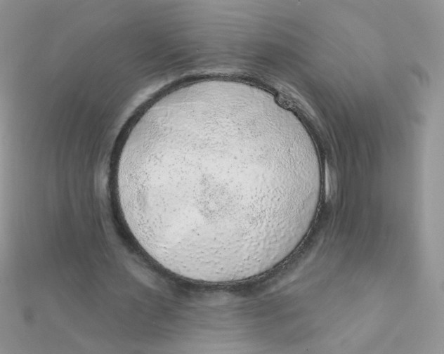 X0000112380483200909031955