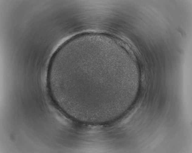 X0000112380484200909031955