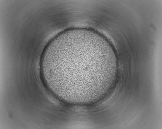 X0000112380487200909031955