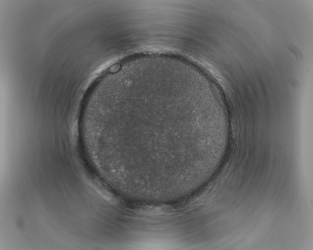 X0000112380488200909031955