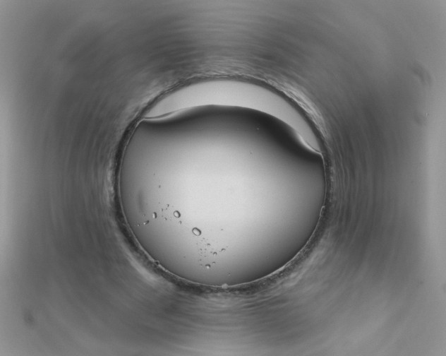 X0000112380489200909031955