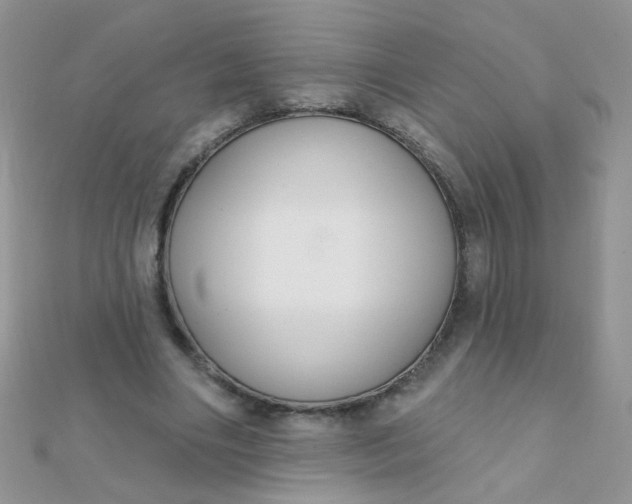 X0000112380490200909031955