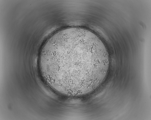 X0000112380491200909031955