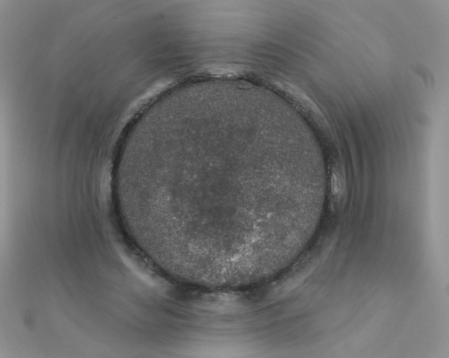 X0000112380492200909031955