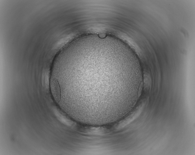 X0000112380493200909031955