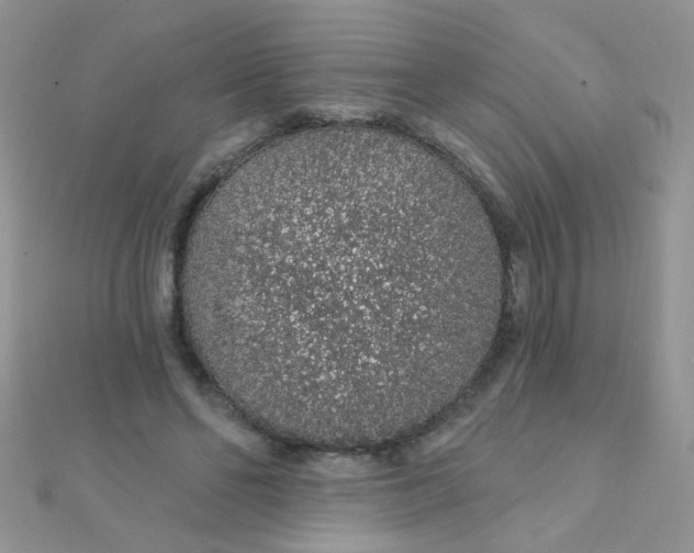 X0000112380494200909031955