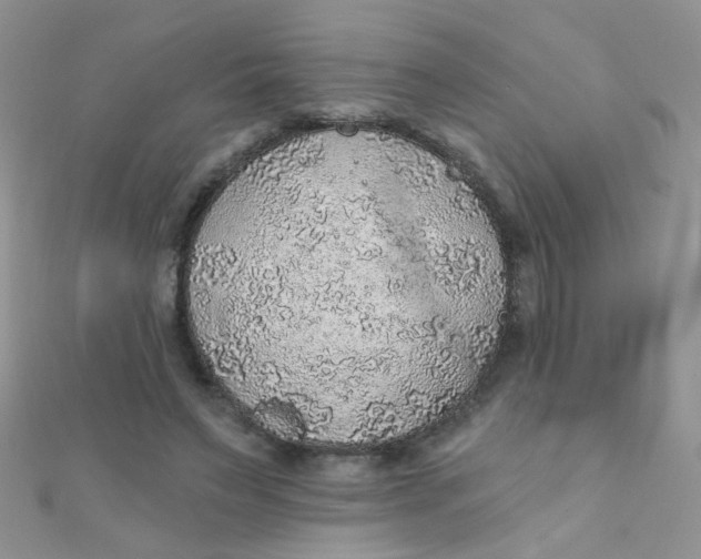 X0000112380495200909031955