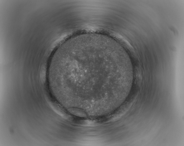 X0000112380496200909031955