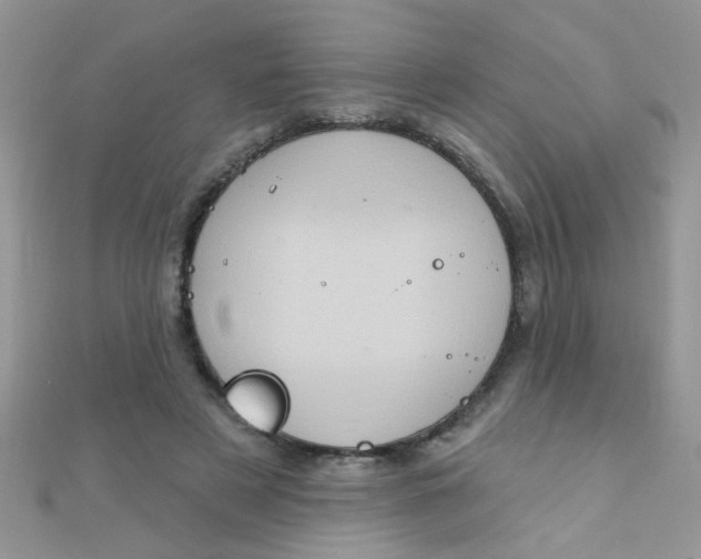 X0000112380497200909031955