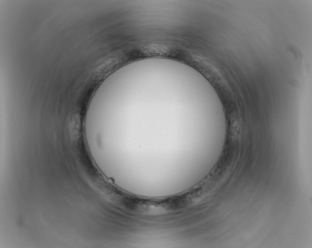 X0000112380498200909031955