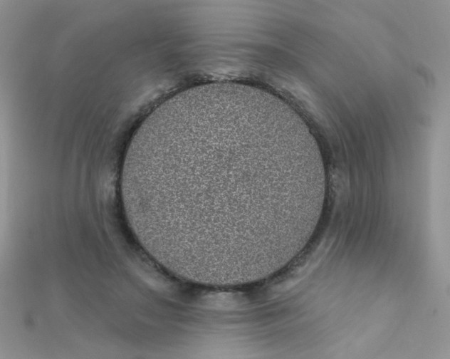 X0000112380499200909031955