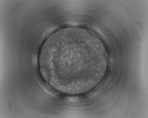 X0000112380500200909031955