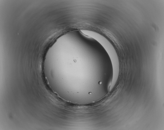 X0000112380501200909031955